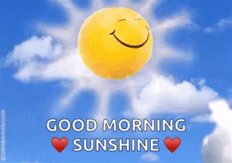 The perfect Sunshine Good morning sunshine Animated GIF for your conversation. . Morning sunshine gif